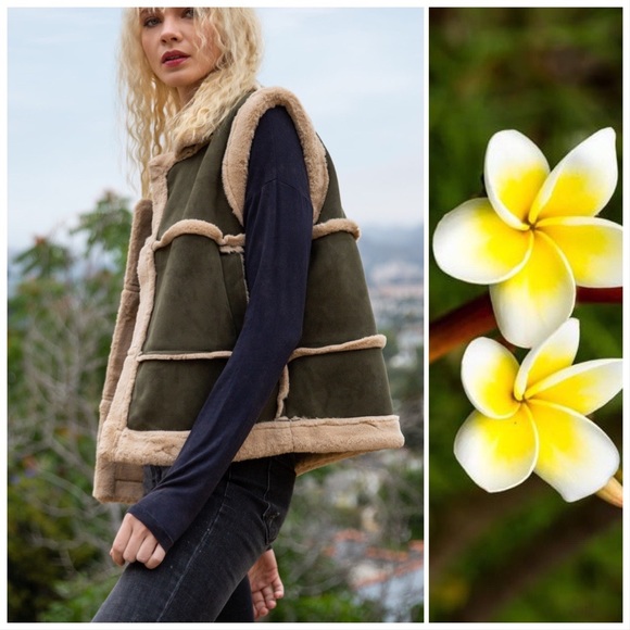 Cheyenne Suede Faux Fur Vest - Picture 8 of 10